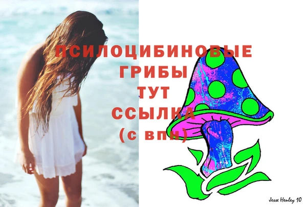 стафф Беломорск