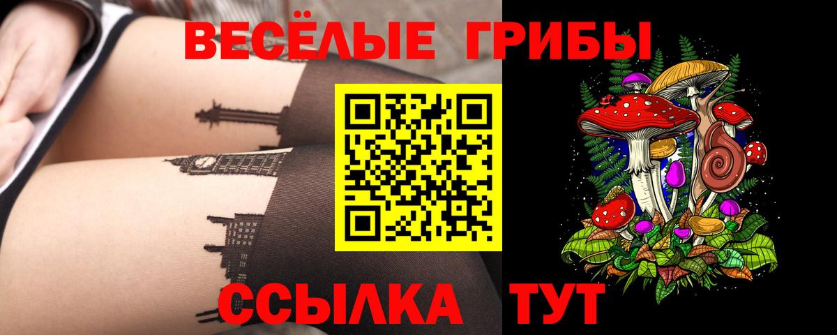 Псилоцибиновые грибы GOLDEN TEACHER Армавир
