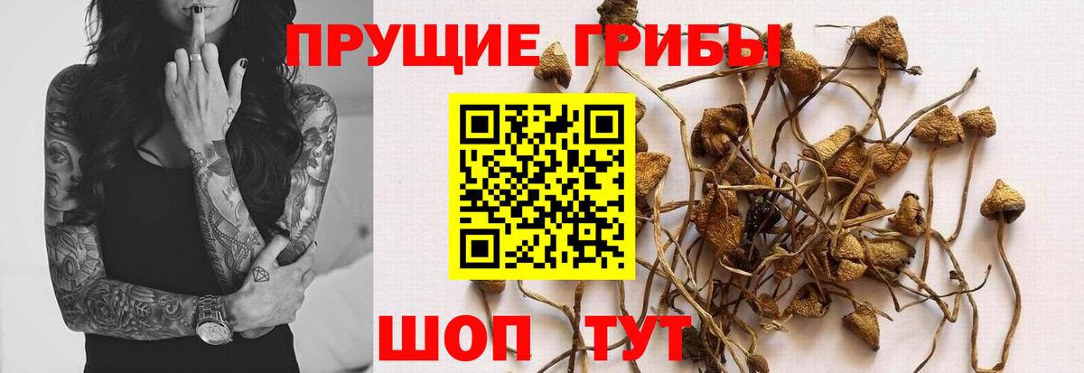Псилоцибиновые грибы Cubensis  как найти закладки  Армавир  Галлюциногенные грибы Magic Shrooms  Вход с VPN 